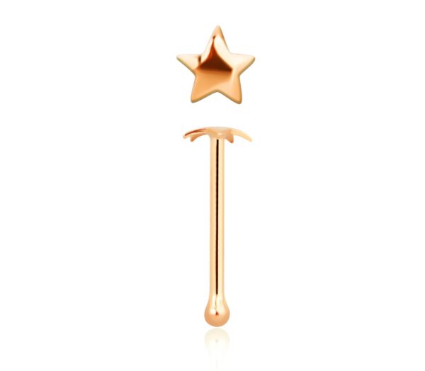 14karat Echtgold Roségold Nasenstecker Pin Stern mit Geschenkbox