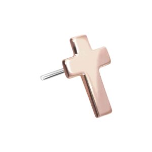 14 Karat Gold Aufsatz mit Titan Push Pin KREUZ