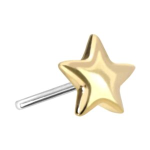 14 Karat Gold Aufsatz mit Titan Push Pin STERN