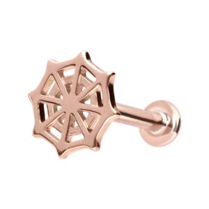 14 Karat Gold Labret mit Push Fit SPINNENNETZ