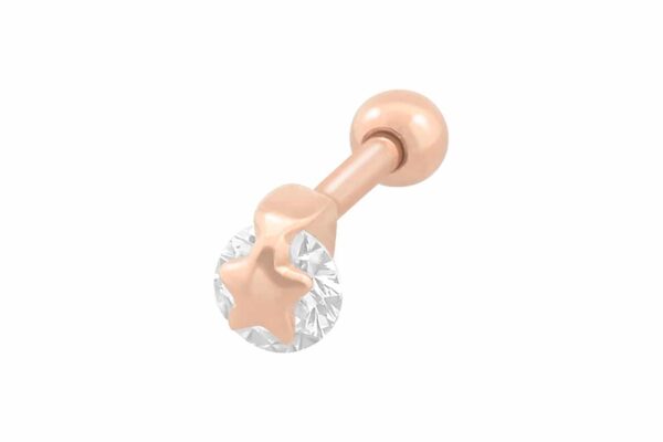Chirurgenstahl Ohrpiercing KRISTALL + STERN ++SALE++