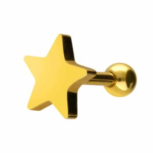 Chirurgenstahl Ohrpiercing STERN