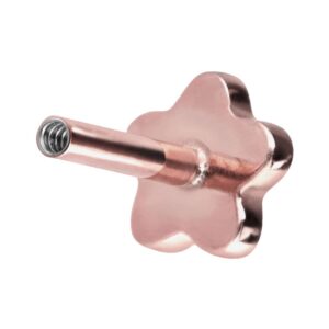 Titan Labret mit Innengewinde ohne Kugel BLUME