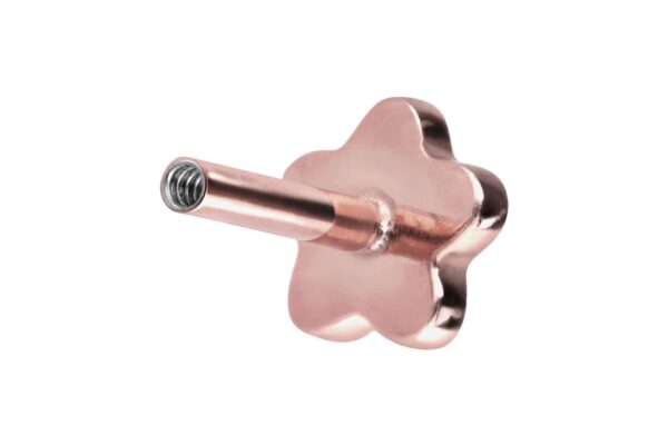 Titan Labret mit Innengewinde ohne Kugel BLUME