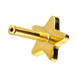 Titan Labret mit Push Fit ohne Kugel STERN