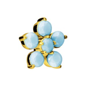 Titan Schraubaufsatz mit Außengewinde BLUME + SYNTHETISCHE TÜRKISE