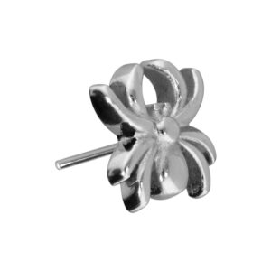 Titan Aufsatz mit Push Pin SPINNE