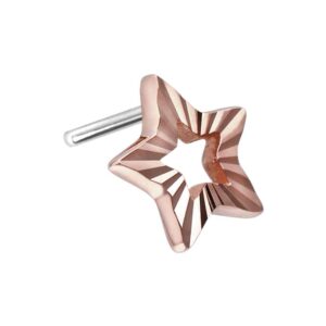 14 Karat Gold Aufsatz mit Titan Push Pin STERN