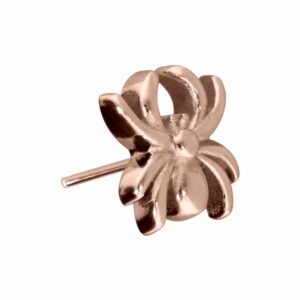 Titan Aufsatz mit Push Pin SPINNE