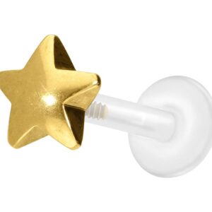 PTFE Labret mit Innengewinde + Titan-Aufsatz STERN